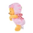 JDS - ETO POOH 2025 x Winnie the Pooh Pink Plush Keychain (Release Date: Dec 3, 2024) Supply