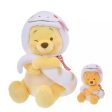 JDS - ETO POOH 2025 x Winnie the Pooh Plush Toy (S) Limited edition at Disney Flagship Tokyo, Tokyo Disney Resort, and Disney Store.jp.(Release Date: Dec 3, 2024) Fashion