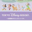 TDR - Tokyo Disney Resort  Park Map Motif  3rd Edition Collection - Mystery Keychain Full Box Set For Sale